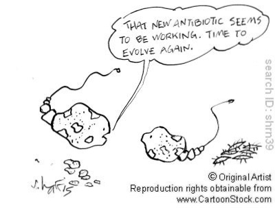 Bacteria learns and adapts